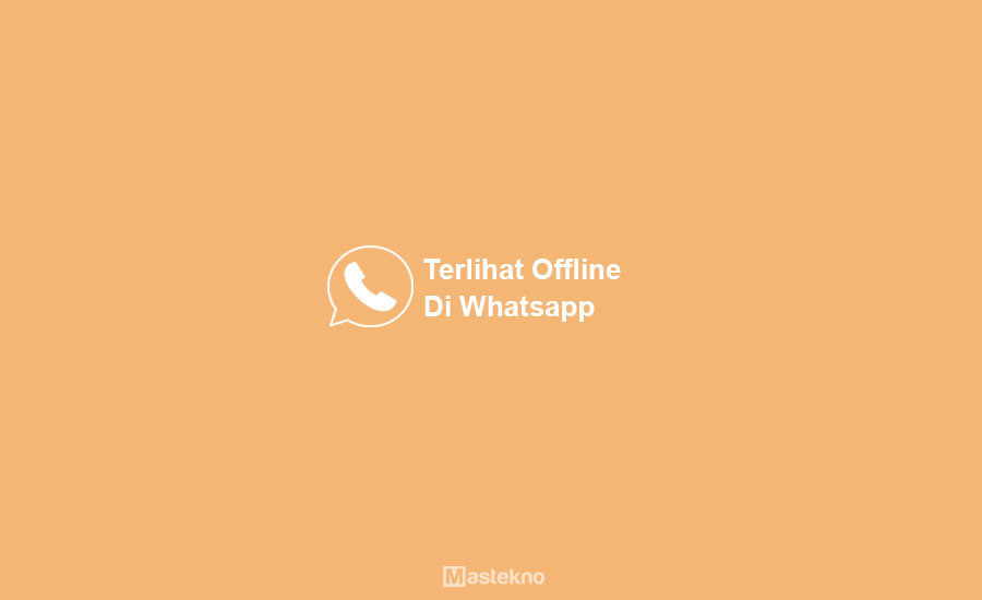 Cara Terlihat Offline di WhatsApp